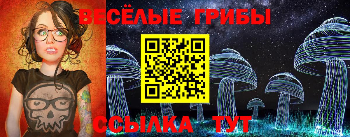 Псилоцибиновые грибы Psilocybine cubensis Владивосток
